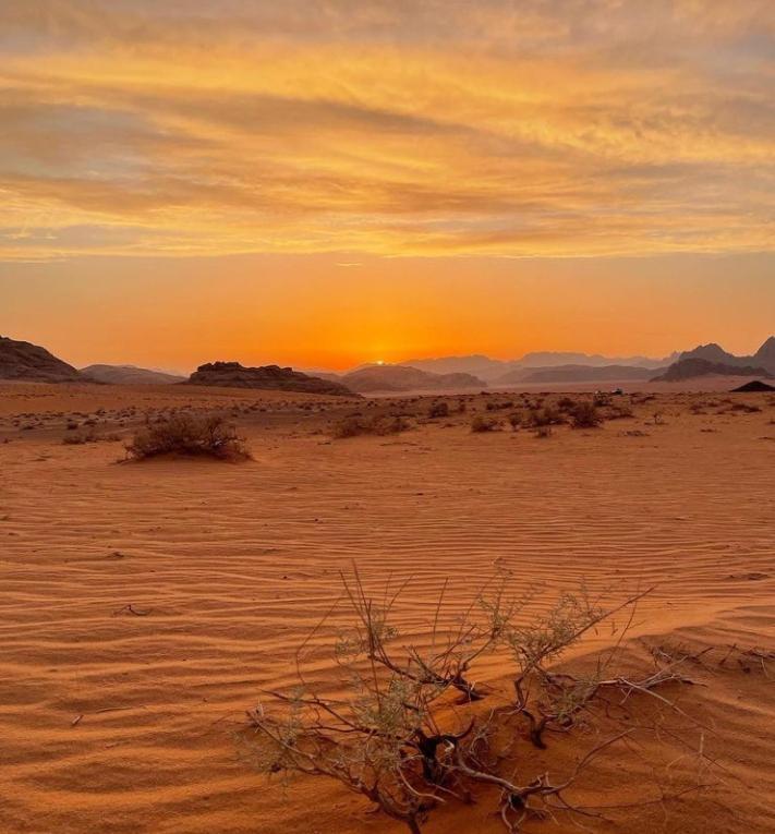 Wadi Rum Nature 外观 照片