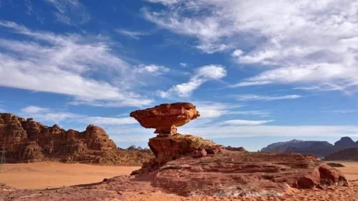 Wadi Rum Nature 外观 照片